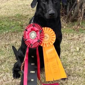 Meet your Posher, Craig